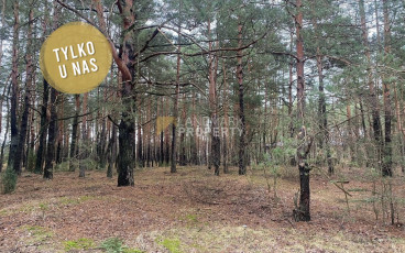 Radzymin, ul. Piaskowa